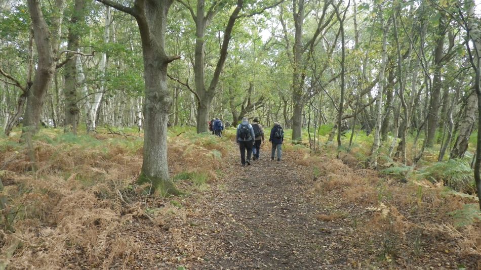 2017-10-22 03 Dunwich Forest and Walberswick.jpg