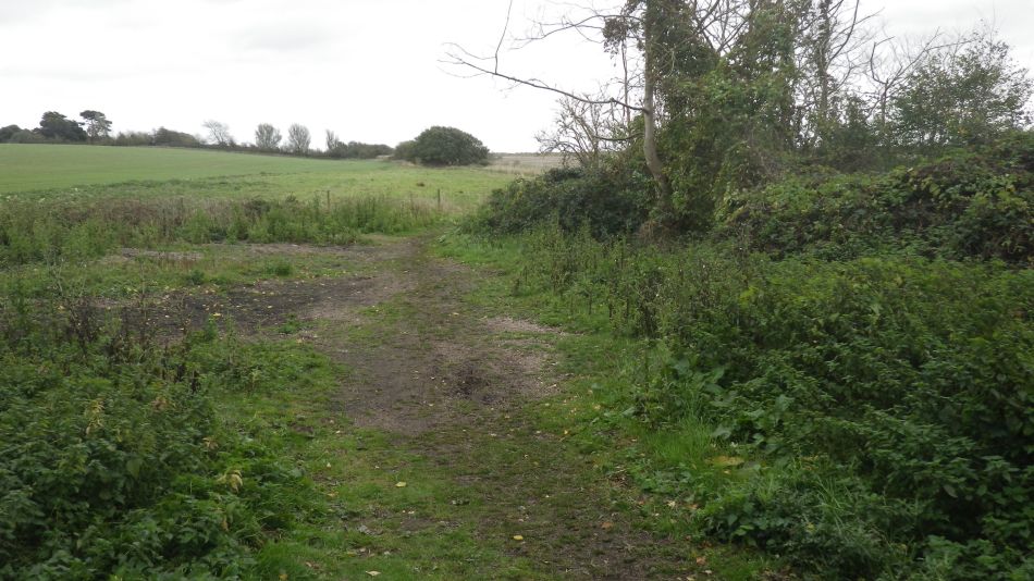 2017-10-22 08 Dunwich Forest and Walberswick.jpg