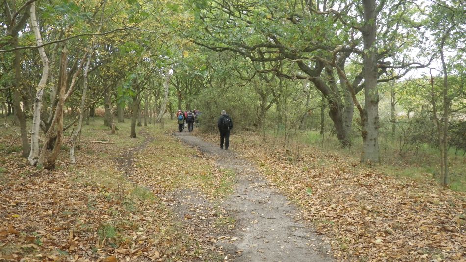 2017-10-22 10 Dunwich Forest and Walberswick.jpg