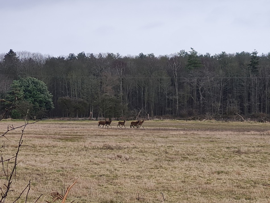 2022-02-13 05 Dunwich and Westleton.jpg