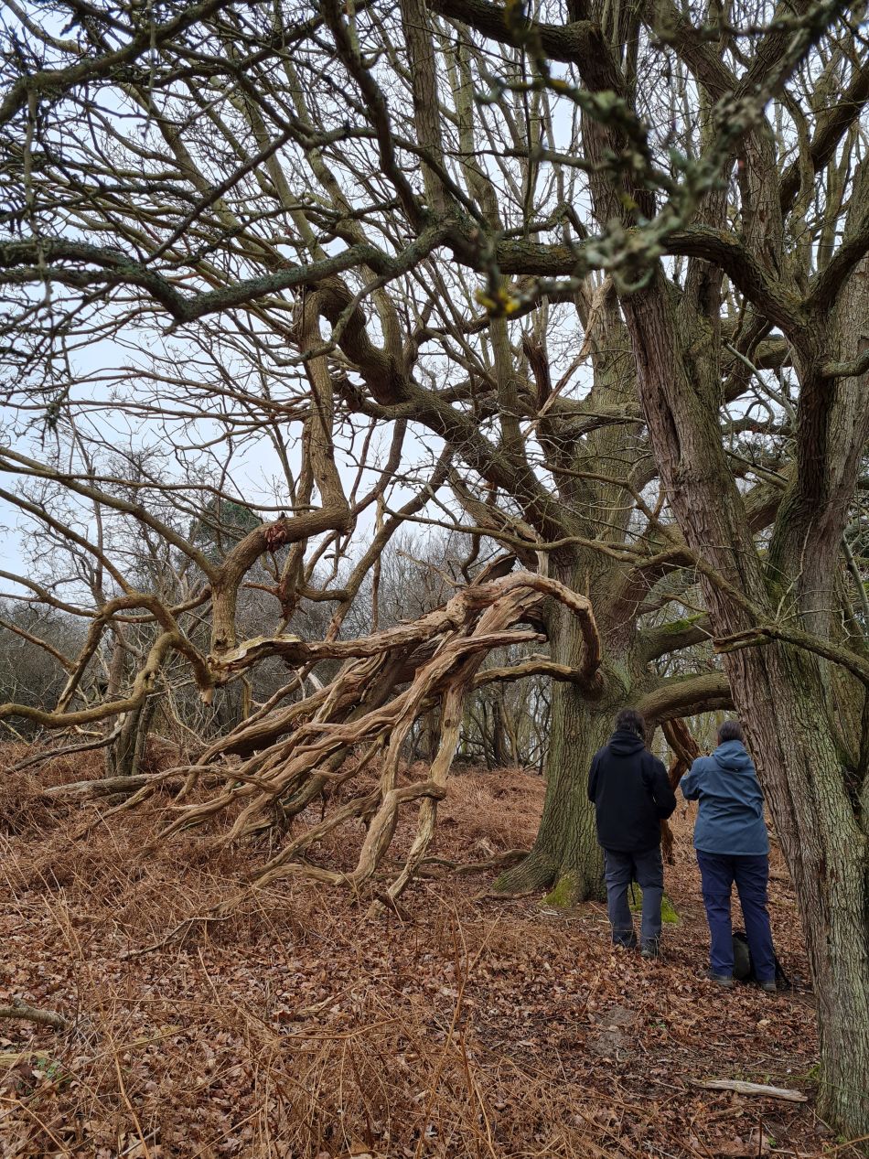 2023-03-05 01 Dunwich and Westleton.jpg