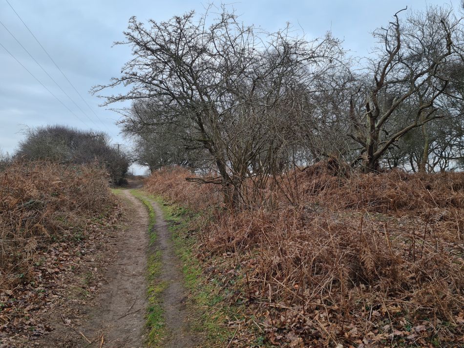 2023-03-05 02 Dunwich and Westleton.jpg