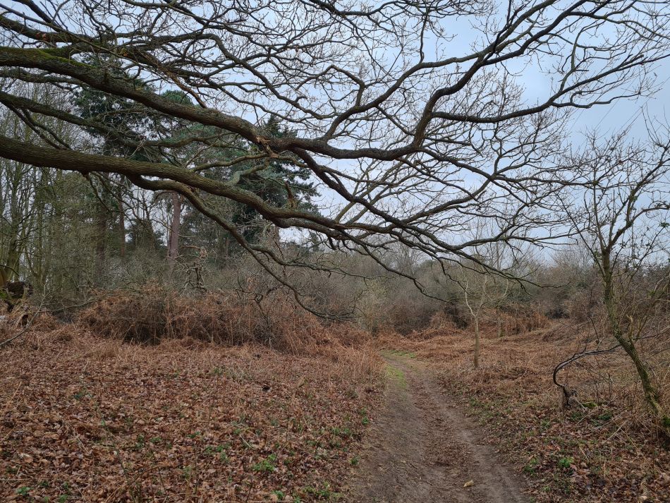 2023-03-05 03 Dunwich and Westleton.jpg