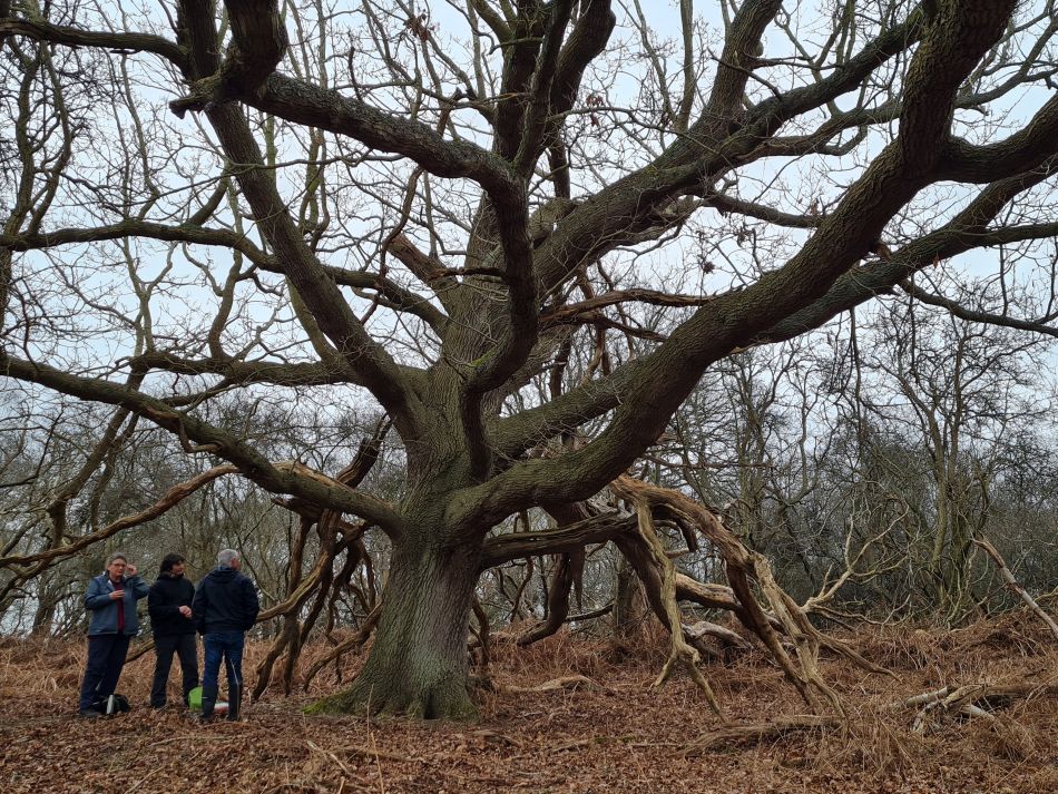 2023-03-05 04 Dunwich and Westleton.jpg