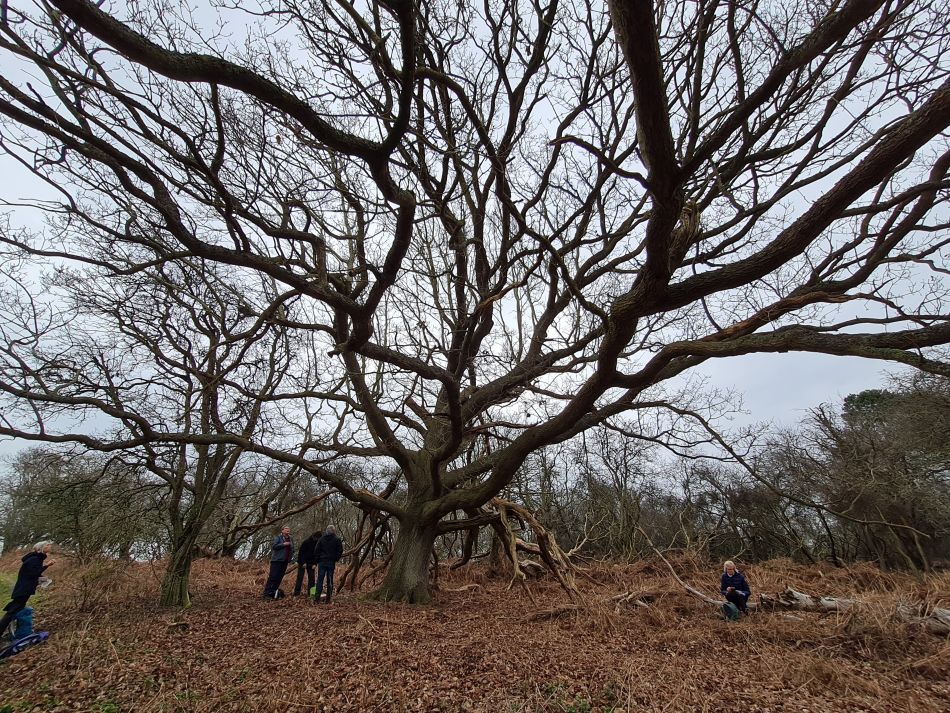 2023-03-05 05 Dunwich and Westleton.jpg