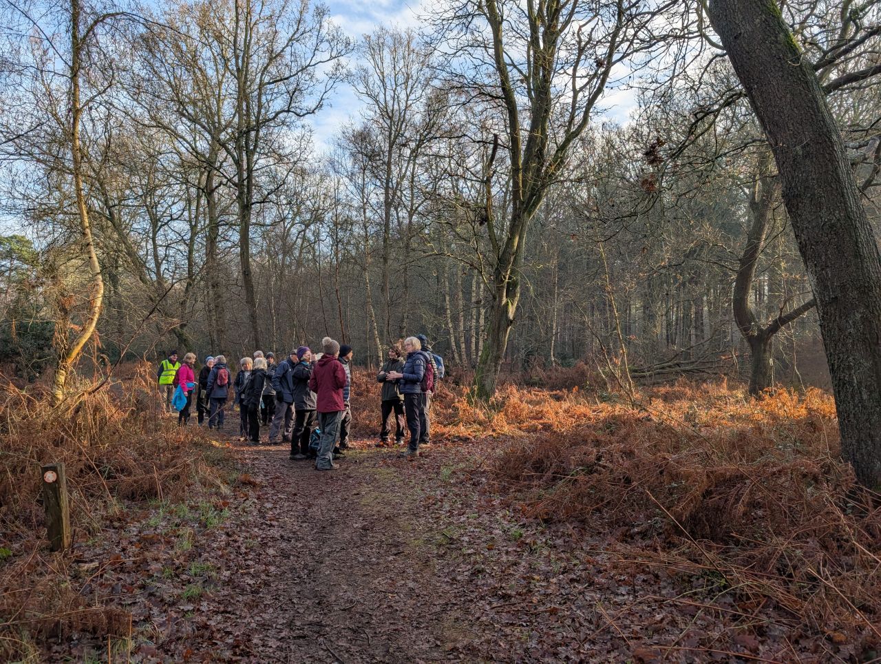 2026-01-18 05 Dunwich Forest.jpg