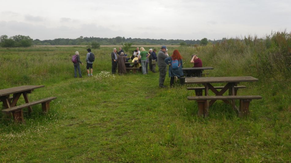 2019-06-19 11 Oulton Broad Lake Lothing Carlton Marshes.jpg