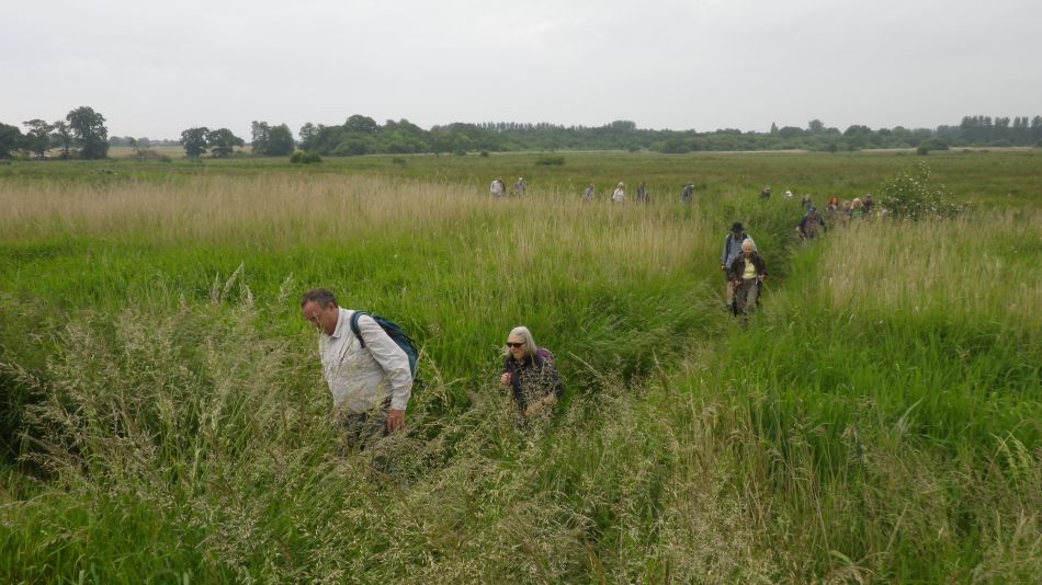2019-06-19 12 Oulton Broad Lake Lothing Carlton Marshes.jpg