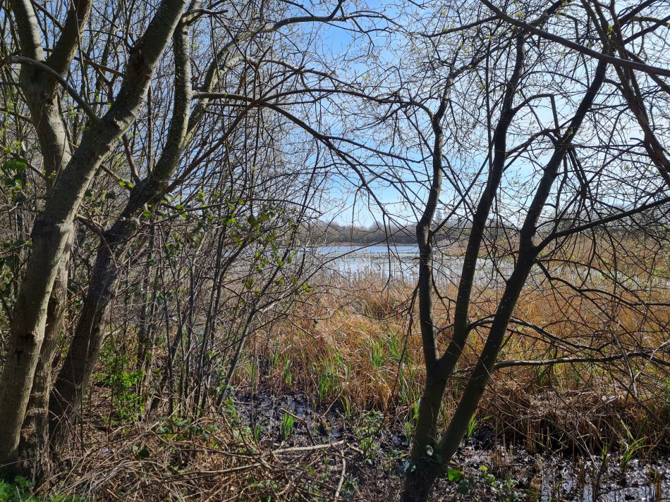 2022-04-10 05 Oulton and Flixton.jpg