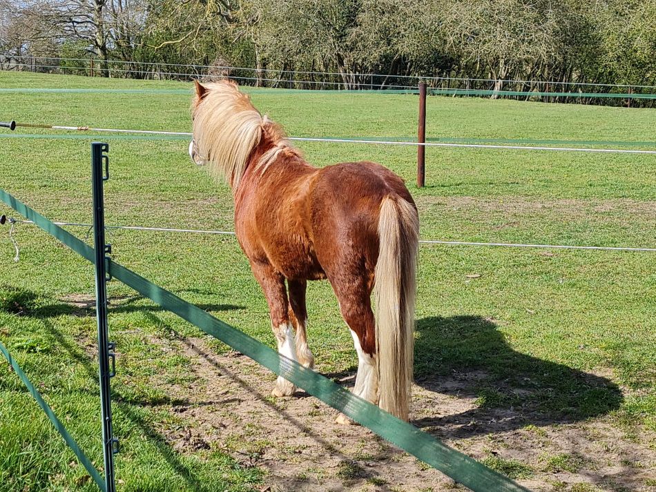 2022-04-10 16 Oulton and Flixton.jpg