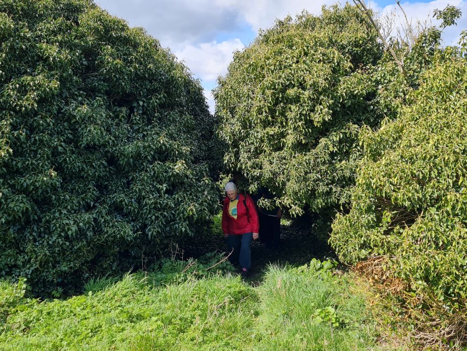 2022-04-10 20 Oulton and Flixton.jpg