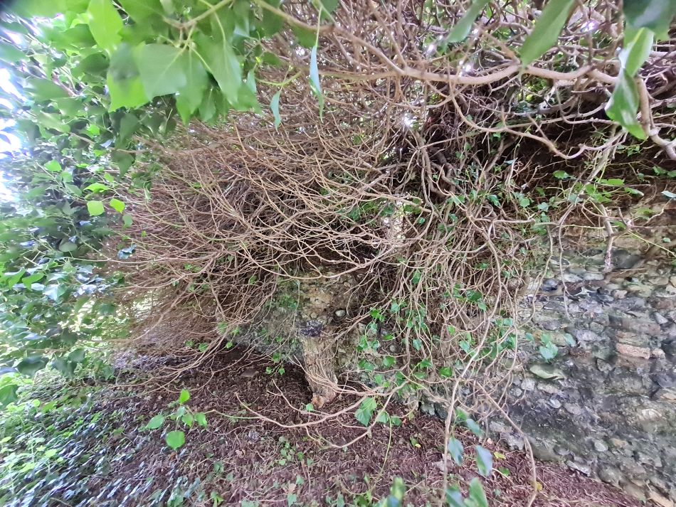 2022-04-10 22 Oulton and Flixton.jpg