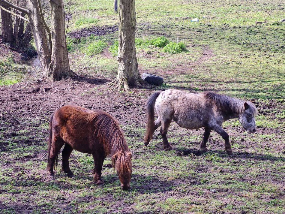 2022-04-10 24 Oulton and Flixton.jpg