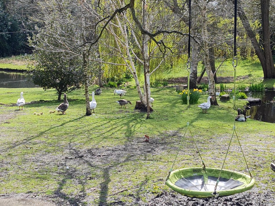 2022-04-10 25 Oulton and Flixton.jpg