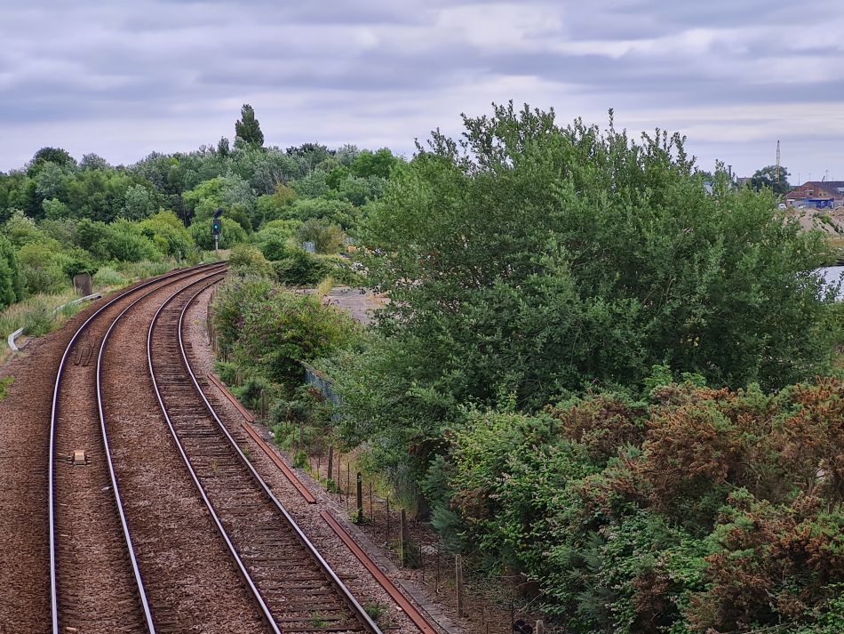 2022-07-06 04 Normanston Park and Oulton Marshes.jpg