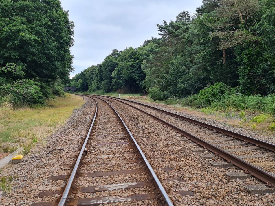 2022-07-06 27 Normanston Park and Oulton Marshes.jpg