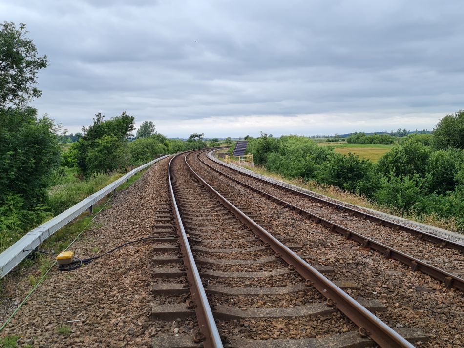 2022-07-06 28 Normanston Park and Oulton Marshes.jpg
