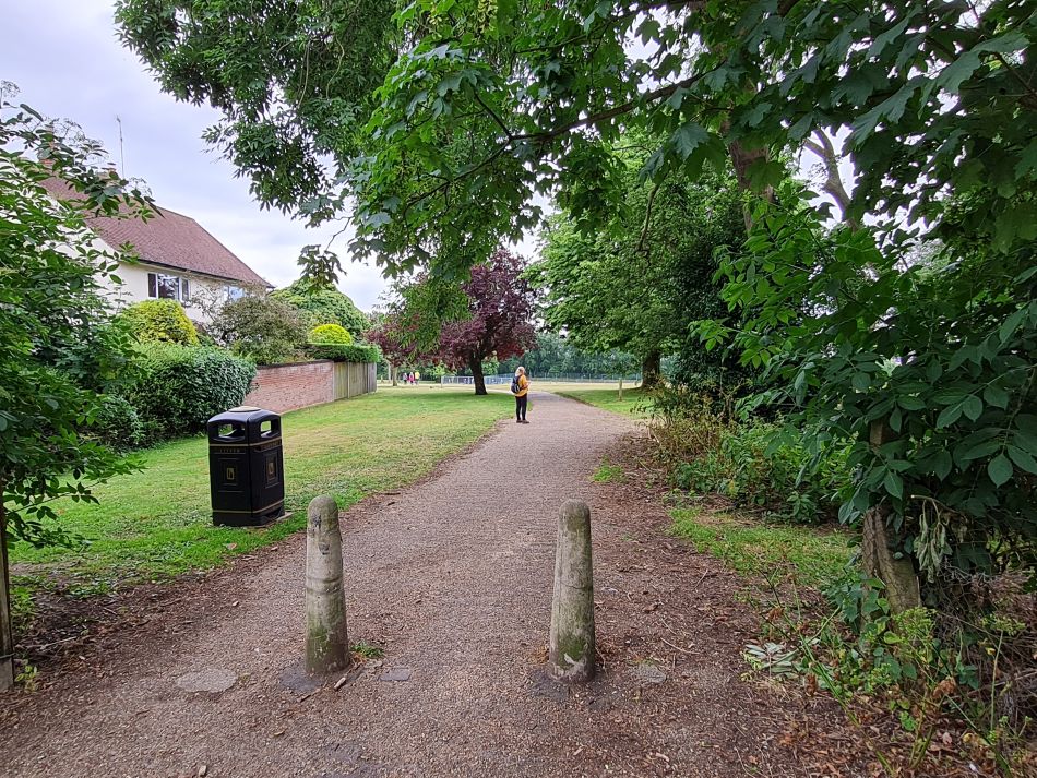 2022-07-06 39 Normanston Park and Oulton Marshes.jpg