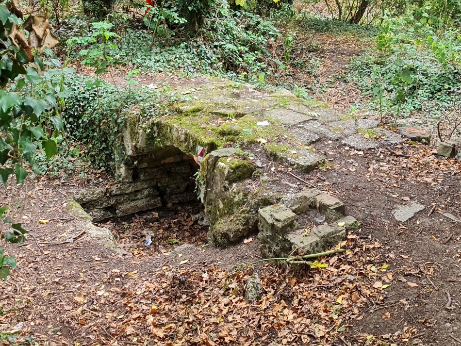 2022-07-06 41 Normanston Park and Oulton Marshes.jpg