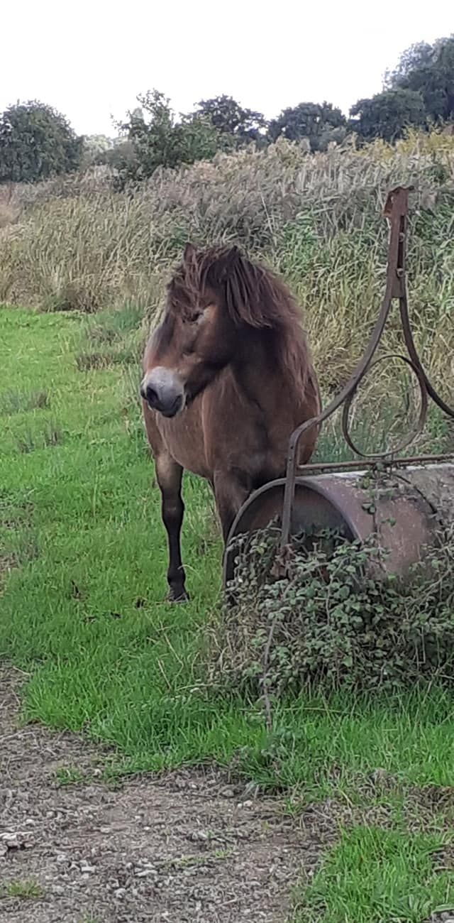 2022-09-28 03 Angles Way 23 - Oulton Broad.jpg