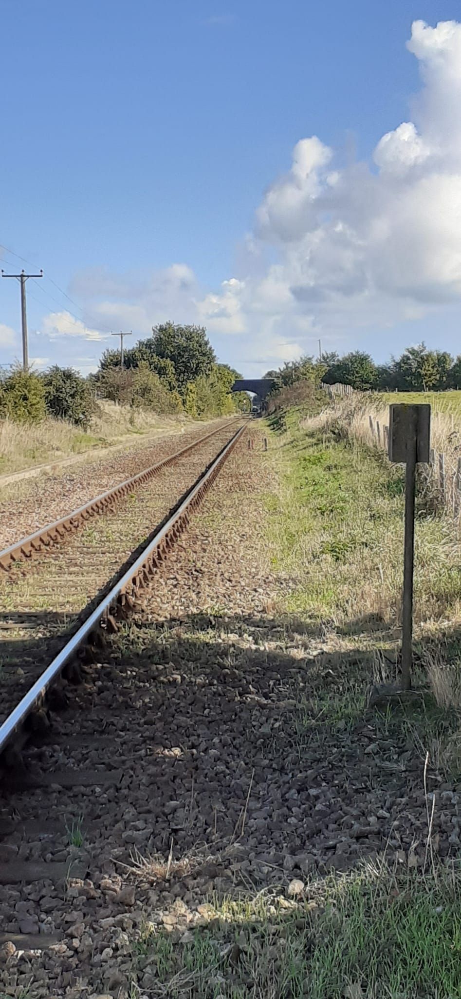 2022-09-28 06 Angles Way 23 - Oulton Broad.jpg