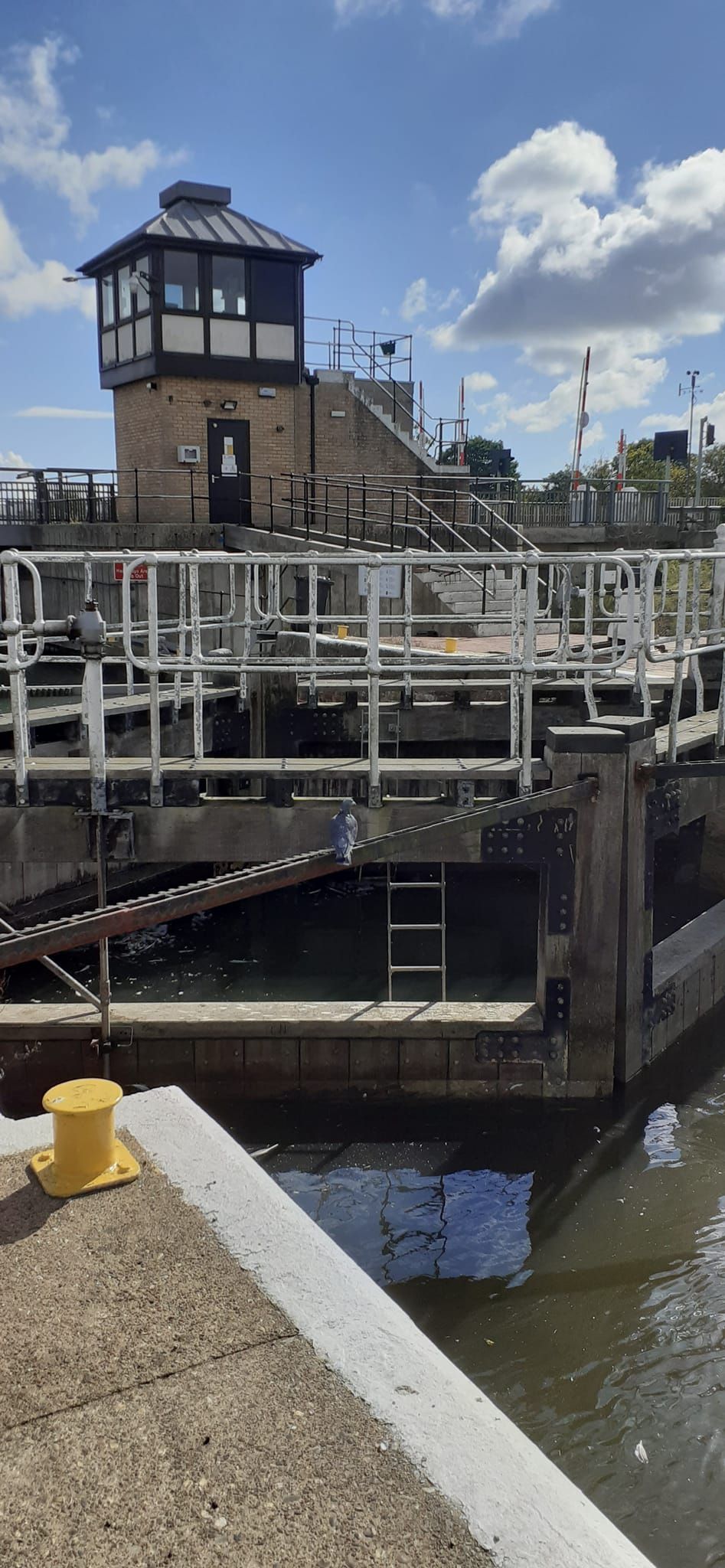 2022-09-28 13 Angles Way 23 - Oulton Broad.jpg