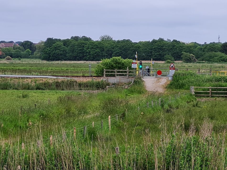 2023-06-07 11 Oulton Broad and Marshes.jpg