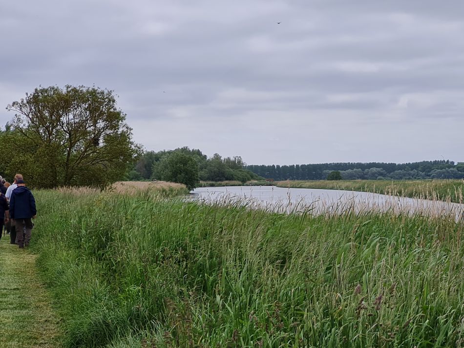 2023-06-07 12 Oulton Broad and Marshes.jpg