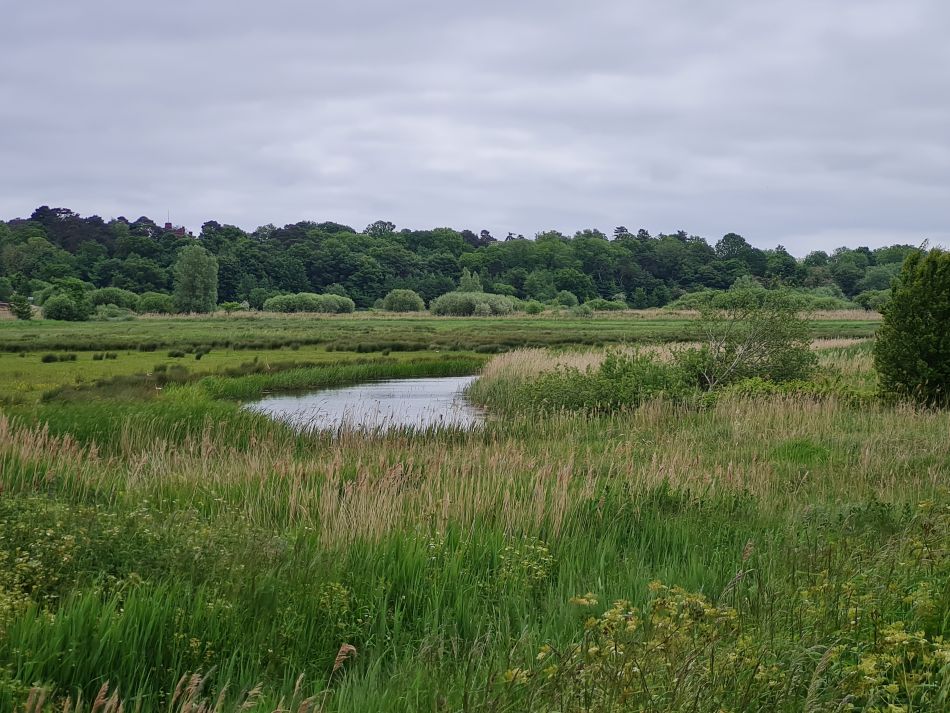 2023-06-07 13 Oulton Broad and Marshes.jpg