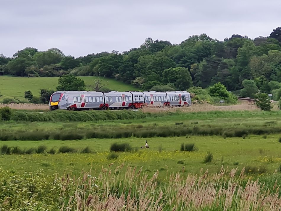 2023-06-07 15 Oulton Broad and Marshes.jpg