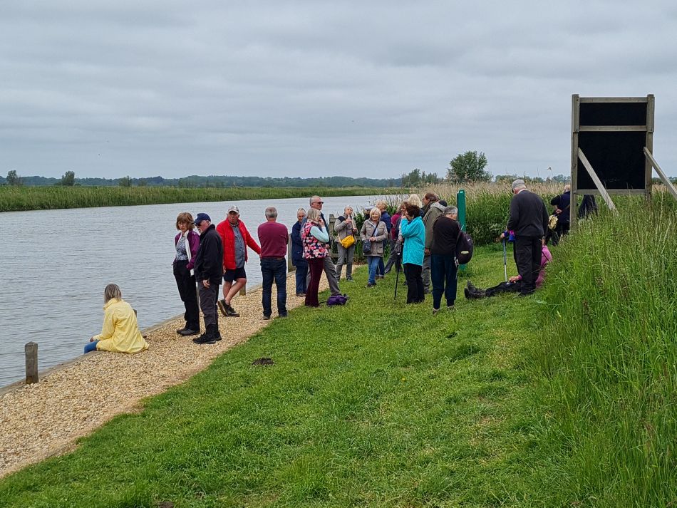 2023-06-07 17 Oulton Broad and Marshes.jpg