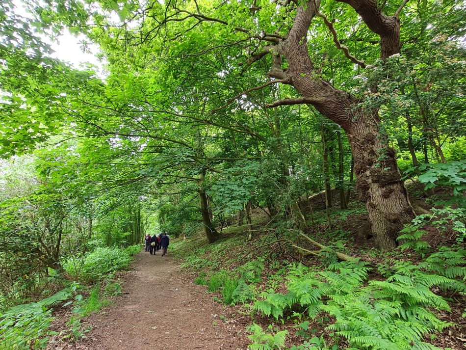 2023-06-07 19 Oulton Broad and Marshes.jpg