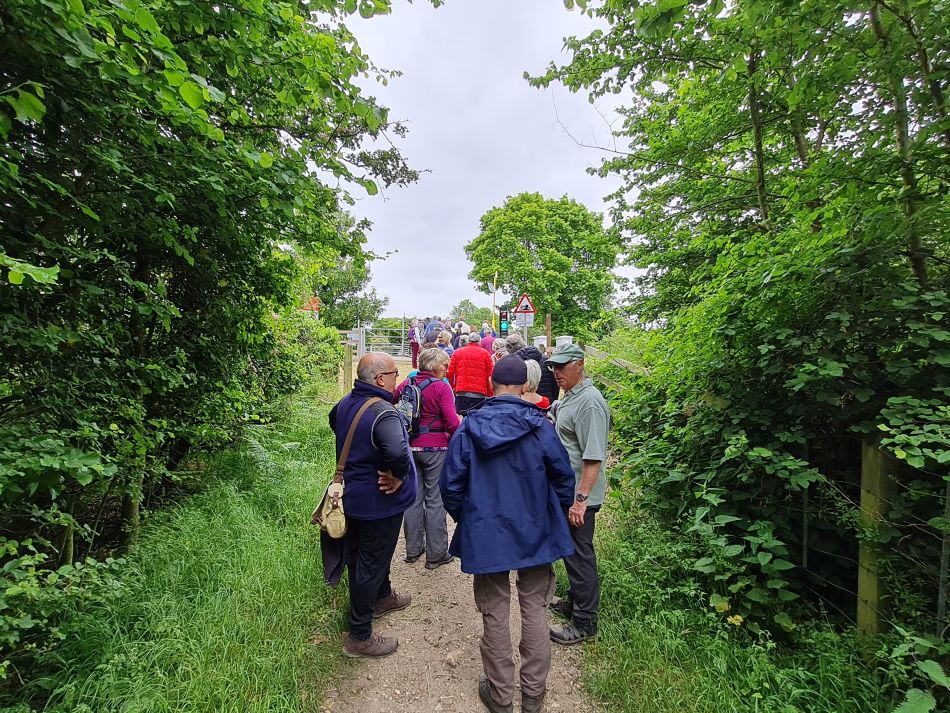 2023-06-07 20 Oulton Broad and Marshes.jpg