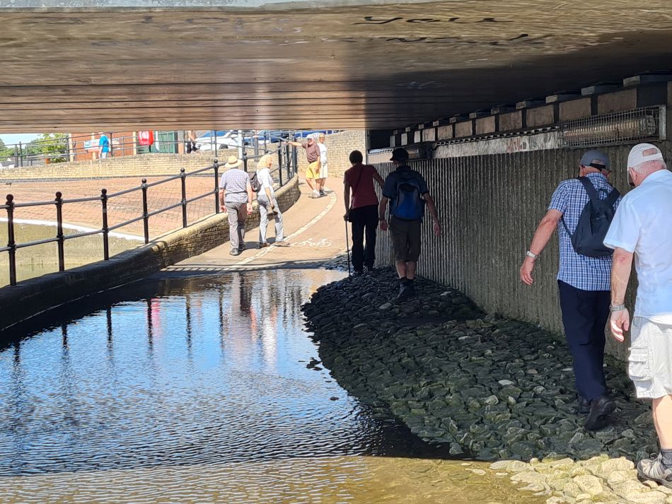 2023-06-21 05 Oulton Broad Lake Lothing Carlton Marshes.jpg