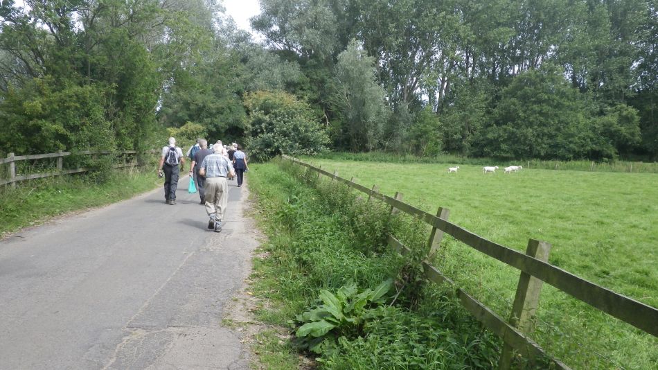 2017-08-16 02 Halesworth and Holton.jpg