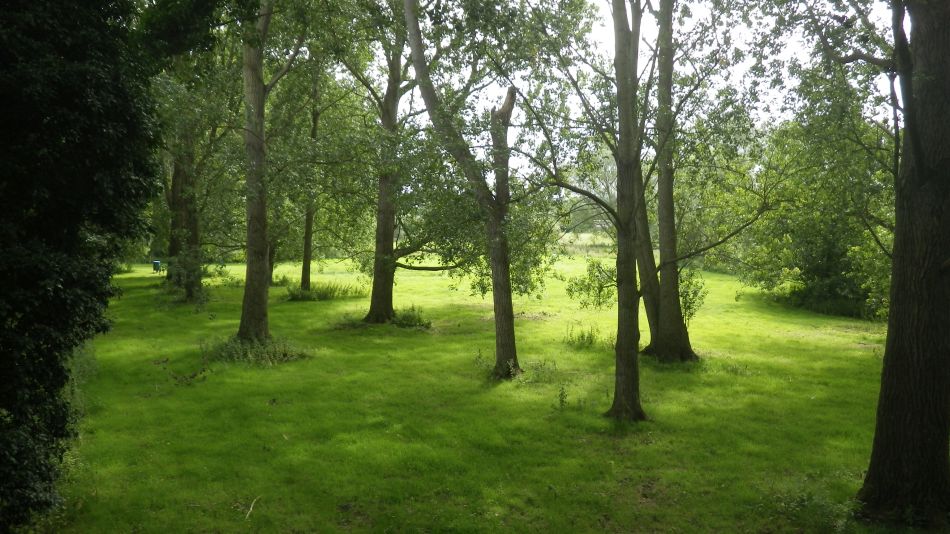 2017-08-16 05 Halesworth and Holton.jpg