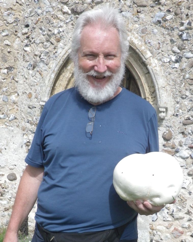 2017-08-16 07 Calvatia Gigantea Flatisima.jpg
