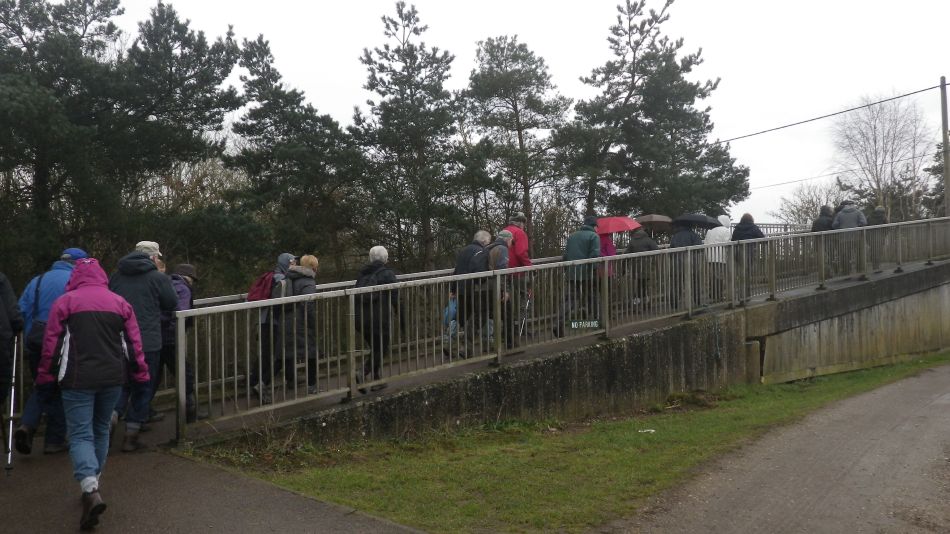 2017-02-15 02 Outney Common and Bungay.jpg