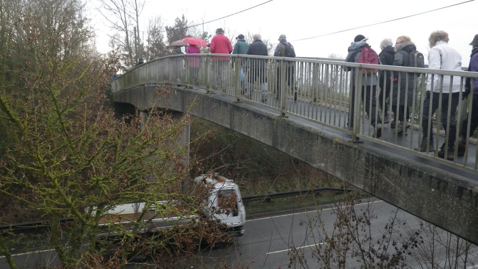 2017-02-15 03 Outney Common and Bungay.jpg