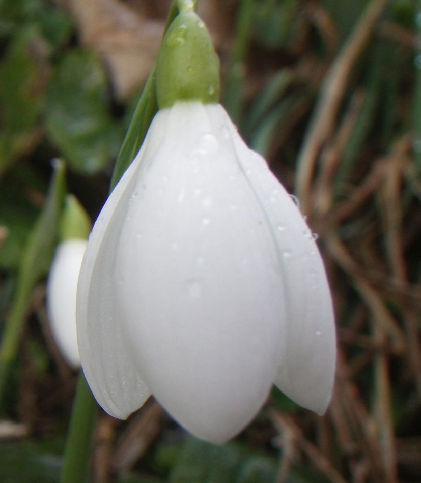 2017-02-15 10 Outney Common and Bungay.jpg