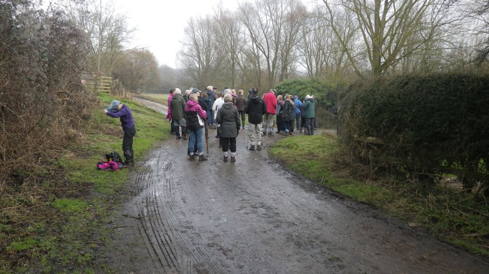 2017-02-15 12 Outney Common and Bungay.jpg