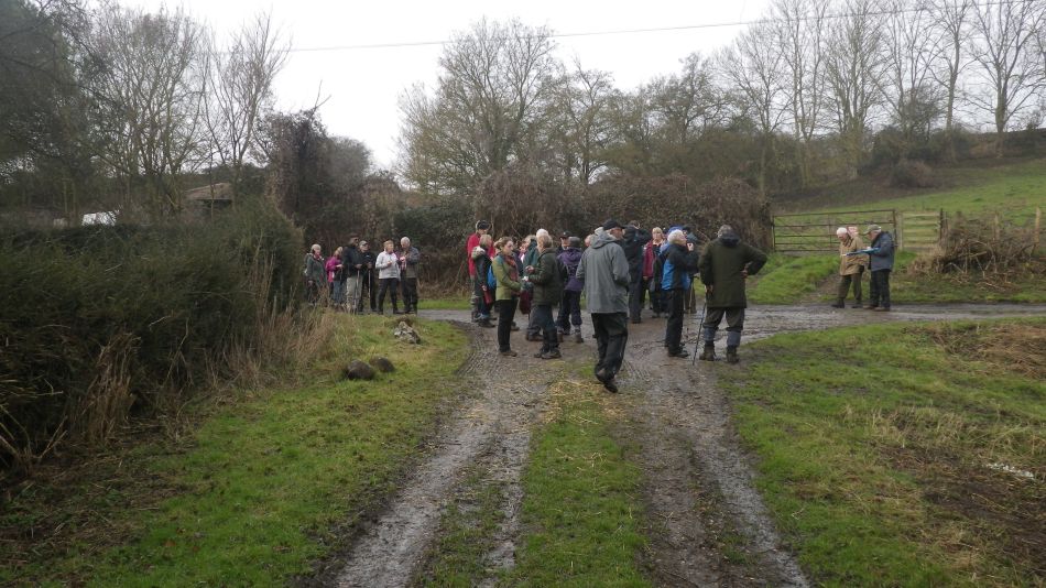 2017-02-15 13 Outney Common and Bungay.jpg