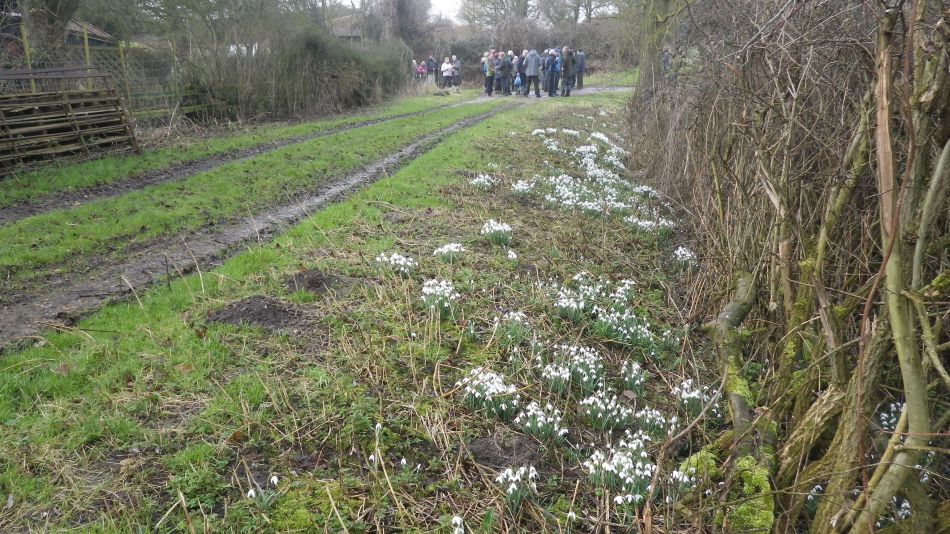 2017-02-15 14 Outney Common and Bungay.jpg