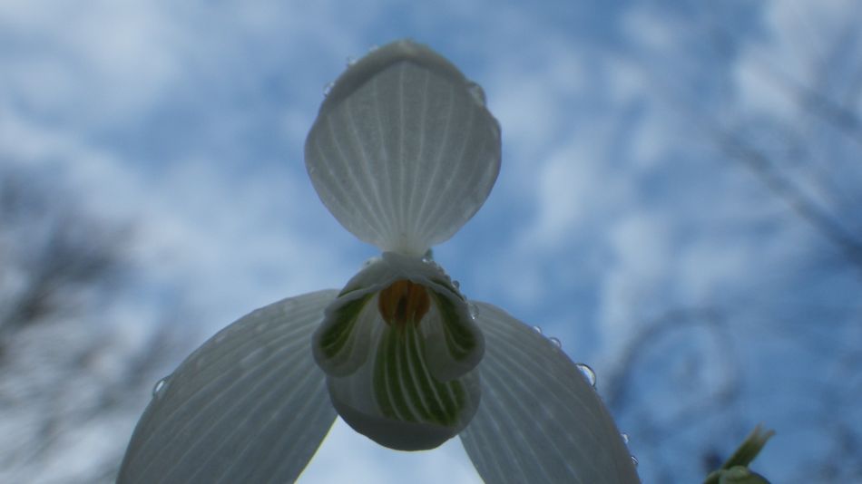 2017-02-15 16 Outney Common and Bungay.jpg