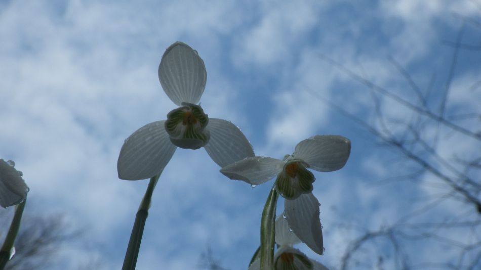 2017-02-15 17 Outney Common and Bungay.jpg