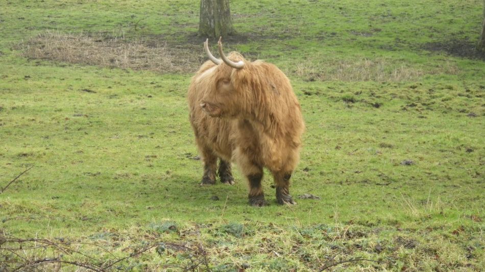 2017-02-15 19 Outney Common and Bungay.jpg