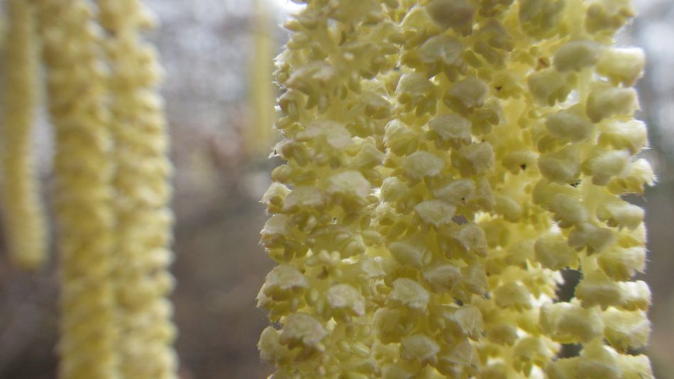 2017-02-15 20 Outney Common and Bungay.jpg