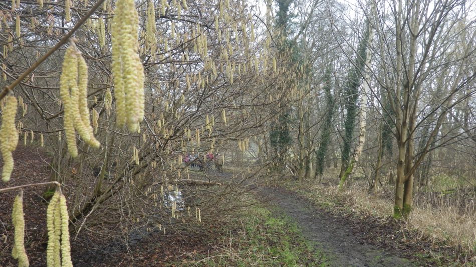 2017-02-15 21 Outney Common and Bungay.jpg