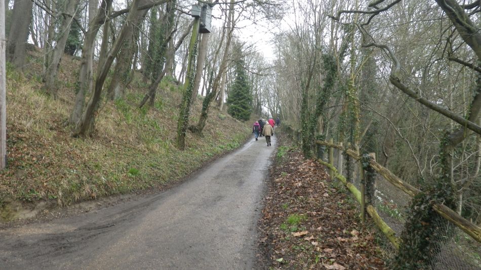 2017-02-15 23 Outney Common and Bungay.jpg