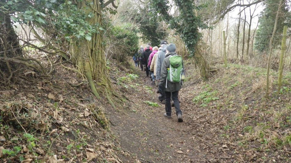 2017-02-15 29 Outney Common and Bungay.jpg